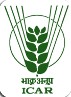 ICAR Logo